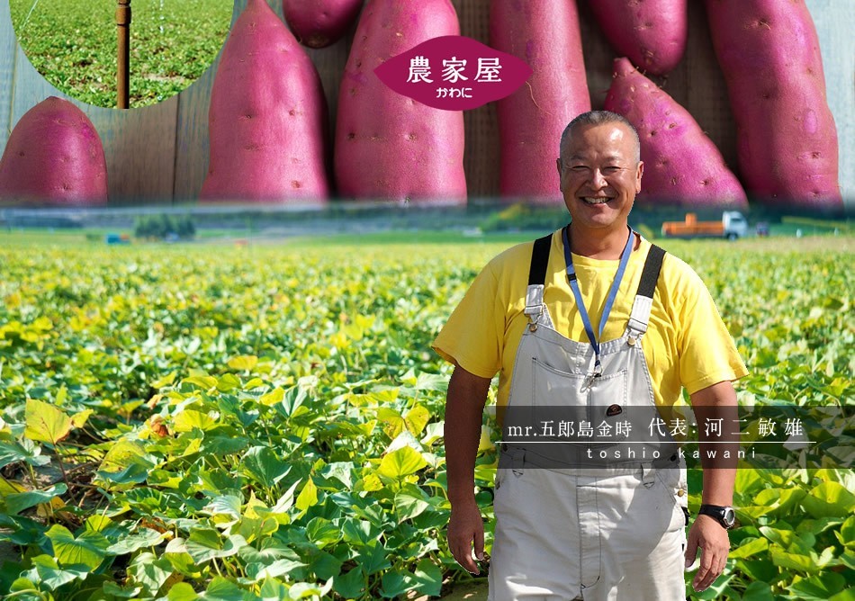 北海道 ギフト 小樽菓匠 六美 北海道産小豆と余市産りんごの金つば 10個セット fu23-3006-29 送料込み 産地直送 和菓子 スイーツ 詰め合わせ グルメ 贈りもの