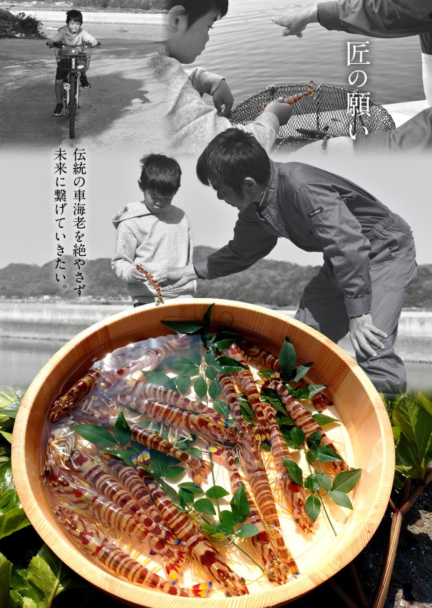 えび 車海老 お刺身 活き 特大 2l 10尾 予約販売 活車えび 熊本県上天草 匠の車エビ くるまえび 高級 お年賀 宅飲み クリスマス 年末年始 御歳暮 送料無料 46 Ebi 2l10 食紀行 Japanfood 通販 Yahoo ショッピング