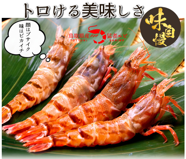 もさえび トロ猛者えび 1kg(約40-50尾) 鳥取県産 幻のえび 日本海 旨味が強い 海老 甘エビ以上の甘味 ガスエビ クロザコエビ 通販 お取り寄せ  :39-mosaebi-1kg:食紀行 JapanFood - 通販 - Yahoo!ショッピング