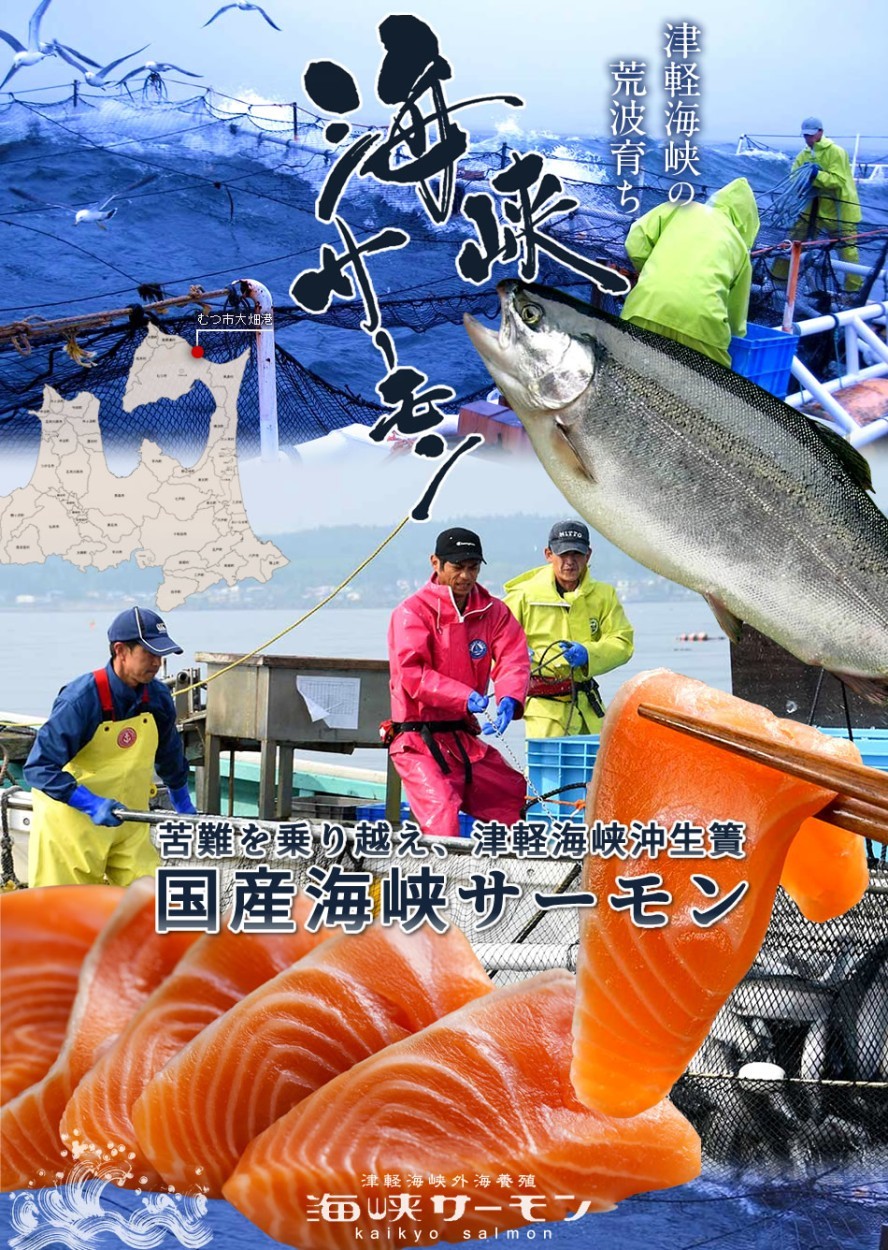 サーモン 国産 海峡サーモン お刺身・切身Bセット 刺身用サク 漬け魚 プレゼント 食べ物 お取り寄せ［お中元 贈り物 御中元ギフト］ :  12-salmon-221-301 : 食コレ Japan-food - 通販 - Yahoo!ショッピング