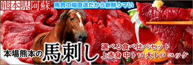 熊本県 高タンパク低カロリー 高級馬刺し