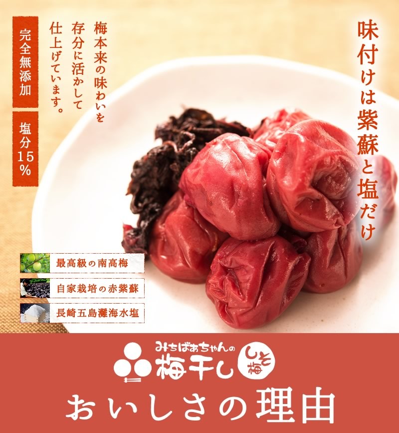 『みちばあちゃんの梅干し「しそ梅」500g』 しそ 梅干し 無添加 南高梅 甘くない 紀州 こだわり うめ :um-02:食のお医者さん - 通販 -  Yahoo!ショッピング