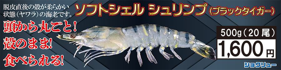 ショクリュー - Yahoo!ショッピング