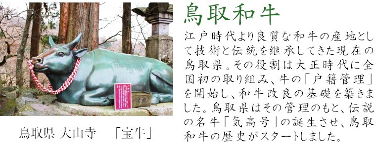 江戸時代より良質な和牛の産地として技術と伝統を継承してきた現在の鳥取県。その役割は大正時代に全国で初めて牛の戸籍管理に取り組み、和牛改良の基礎を築きました。鳥取県はその管理のもと、伝説の名牛「気高号」の誕生により鳥取和牛のブランドを確立しました。