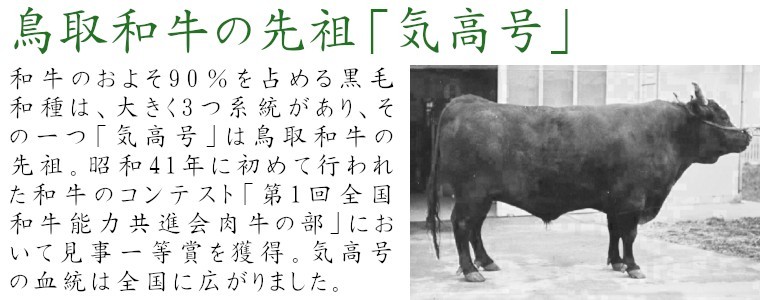 鳥取和牛の先祖「気高号」 和牛のおよそ90％を占める黒毛和種は、大きく3つ系統があり、その一つ「気高号」は鳥取和牛の先祖。昭和41年に初めて行われた和牛のコンテスト「第1回全国和牛能力共進会肉牛の部」において見事1等を獲得。気高号の血統は全国に広がりました。