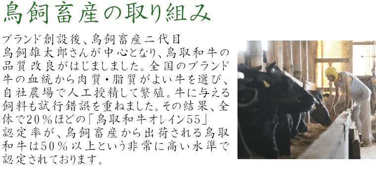 鳥飼畜産の取り組み ブランド創設後、鳥飼畜産二代目の鳥飼雄太郎さんが中心となり、鳥取和牛の品質改良がはじましました。全国のブランド牛の血統から肉質・脂質がよい牛を選び、自社農場で人工授精して繁殖。牛に与える飼料も試行錯誤を重ねました。その結果、全体で20％ほどの「鳥取和牛オレイン55」認定率が、鳥飼畜産から出荷される鳥取和牛は50％以上という非常に高い水準で認定されております。