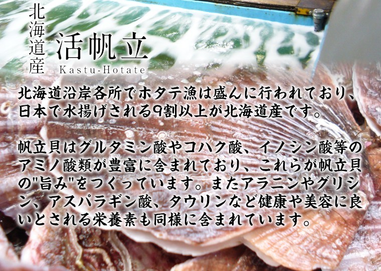 北海道沿岸各所でホタテ漁は盛んに行われており、日本で水揚げされる9割以上が北海道産です。帆立貝はグルタミン酸などのアミノ酸類が豊富に含まれており、これが帆立貝の"旨み"をつくっています。