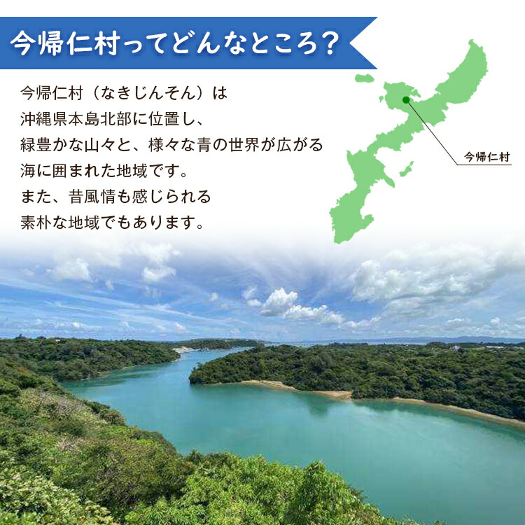 マンゴー 2kg ご家庭用 アーウィン種 アップルマンゴー 沖縄 完熟