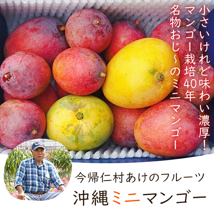 け*け様 ミニ+ミニミニマンゴー　　1kg け*け様 ミニ+ミニミニマンゴー 1kg ミニマンゴー 1kg (6〜9個)