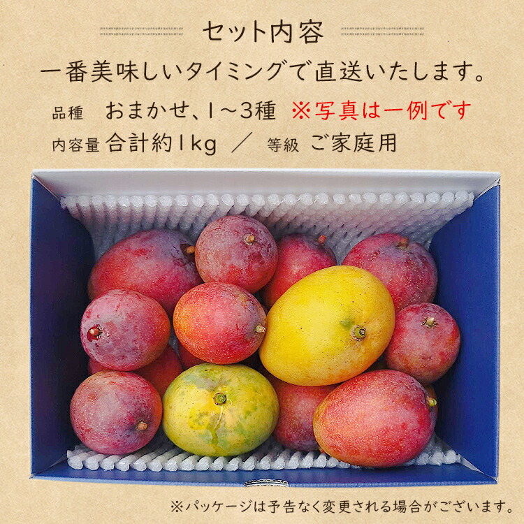 ※May様ご注文品※沖縄県産ミニマンゴー3kg Amazon.co.jp: ミニマンゴー 訳あり3キロ 沖縄県産 : 食品