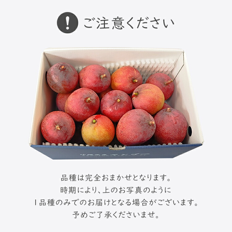 ※May様ご注文品※沖縄県産ミニマンゴー3kg Amazon.co.jp: ミニマンゴー 訳あり3キロ 沖縄県産 : 食品