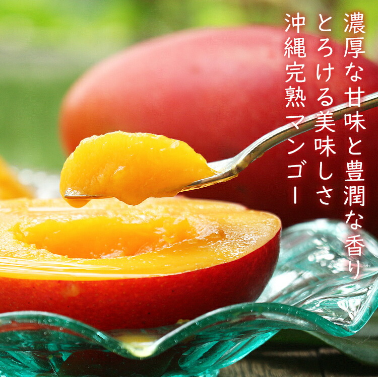 ミニマンゴー 1kg 沖縄県産 1〜3種程度 ご家庭用 マンゴー