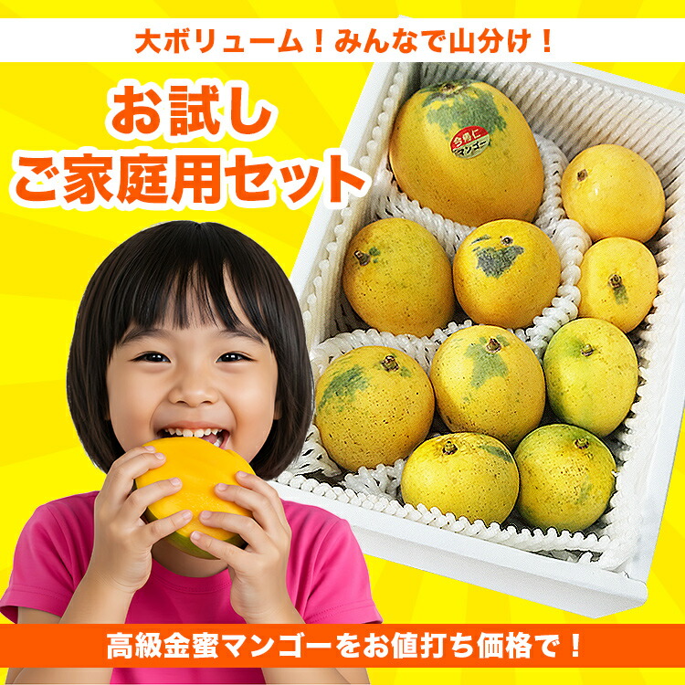 金蜜マンゴー 2kg 家庭用 訳あり 沖縄県産 キンミツ マンゴー