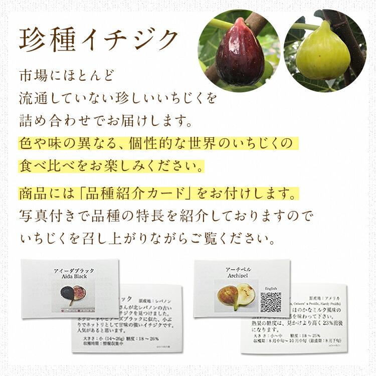 パル イチジク いちじく 結実確認済 000000043985-01-m.jpg?t=