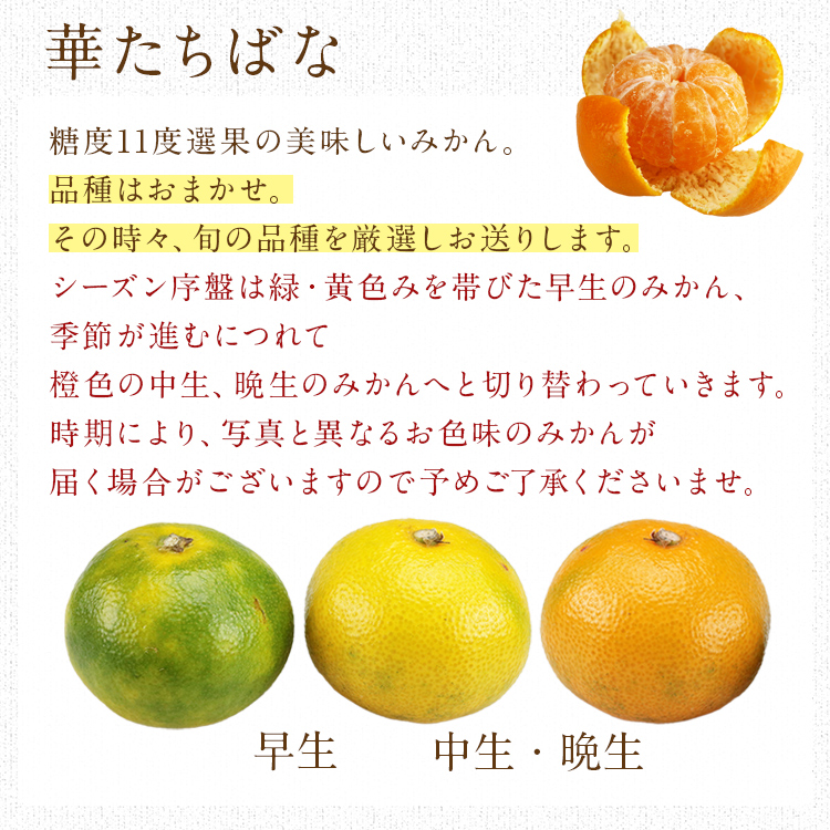 みかん みかん 3kg 糖度11度選果 秀品 福岡県産 華たちばな 蜜柑 ミカン