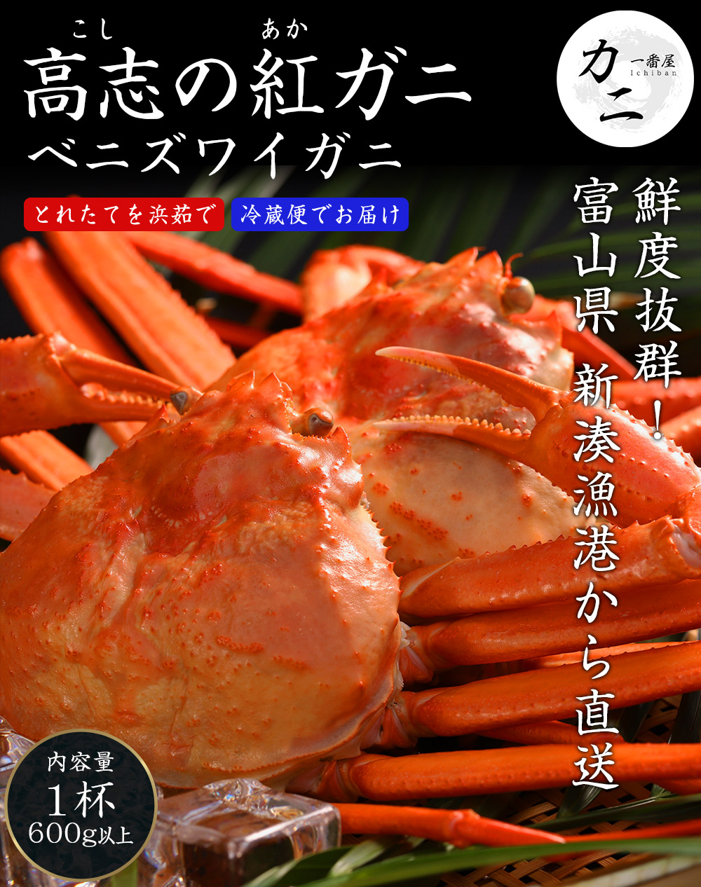 年内発送受付終了、年始より順次出荷します)ベニズワイガニ 富山県産