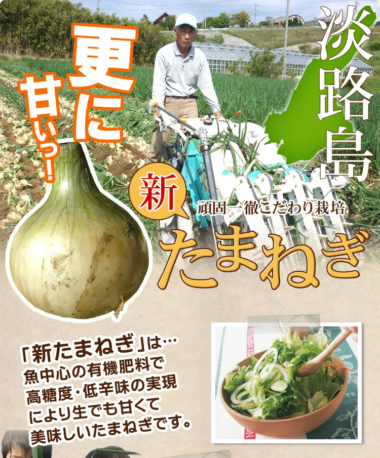 ネットワーク全体の最低価格に挑戦新玉ねぎ 淡路島 訳あり 同梱不可 玉葱 10kg 兵庫県産 常温便 たまねぎ 産直 指定日不可 玉ねぎ 