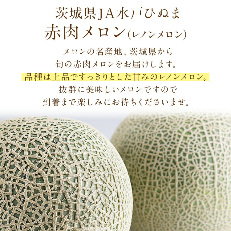 メロン 茨城県産 5kg (3〜5玉入り) レノンメロン 3L以上 優以上