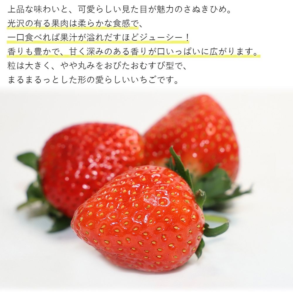 さぬきひめ いちご 化粧箱 400g以上 香川県産 9〜18粒 秀品 イチゴ