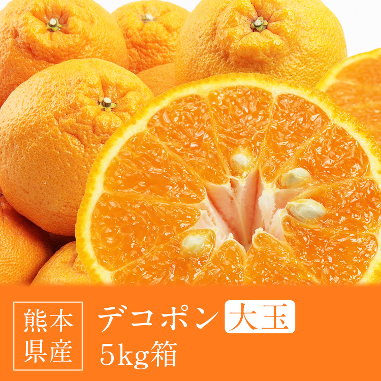 デコポン 熊本県産 大玉 15玉 5kg箱満杯詰め 糖度13度選果設定 不知火