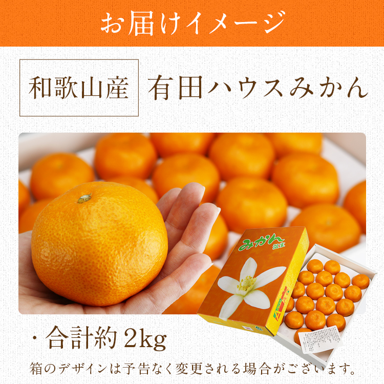 有田みかん - 専用出品です　有田みかん　20 aridamikan_01a.jpg