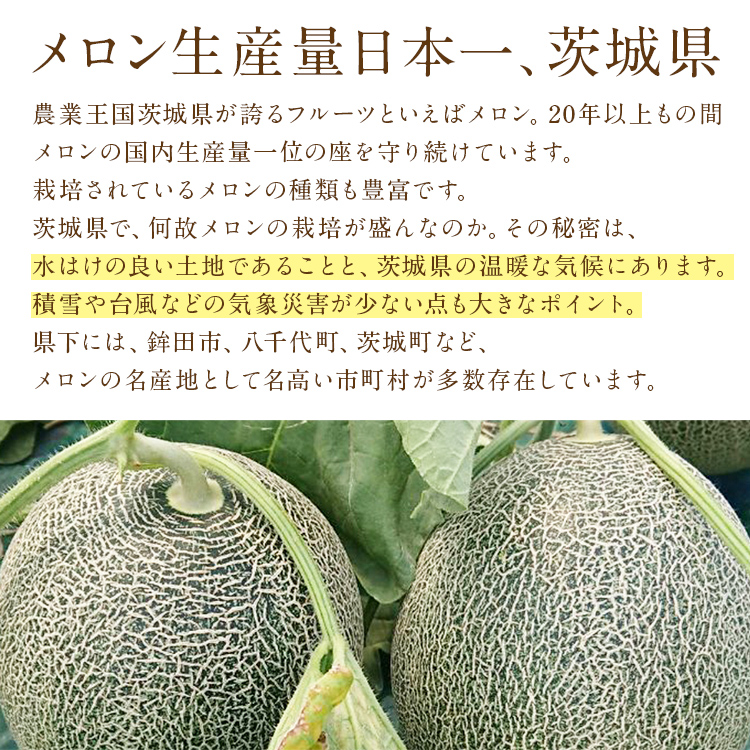 メロン タカミメロン 貴味メロン 4〜6玉 秀品 L〜3Lサイズ