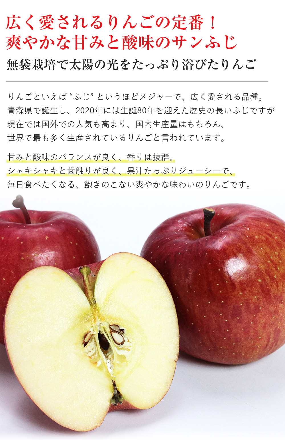 りんご 5kg サンふじ 長野県産 秀品 16-20玉 常温便 同梱不可 指定日不可 りんご リンゴ 林檎 フルーツ 果物 旬:  食の達人お取り寄せグルメ｜JRE MALL