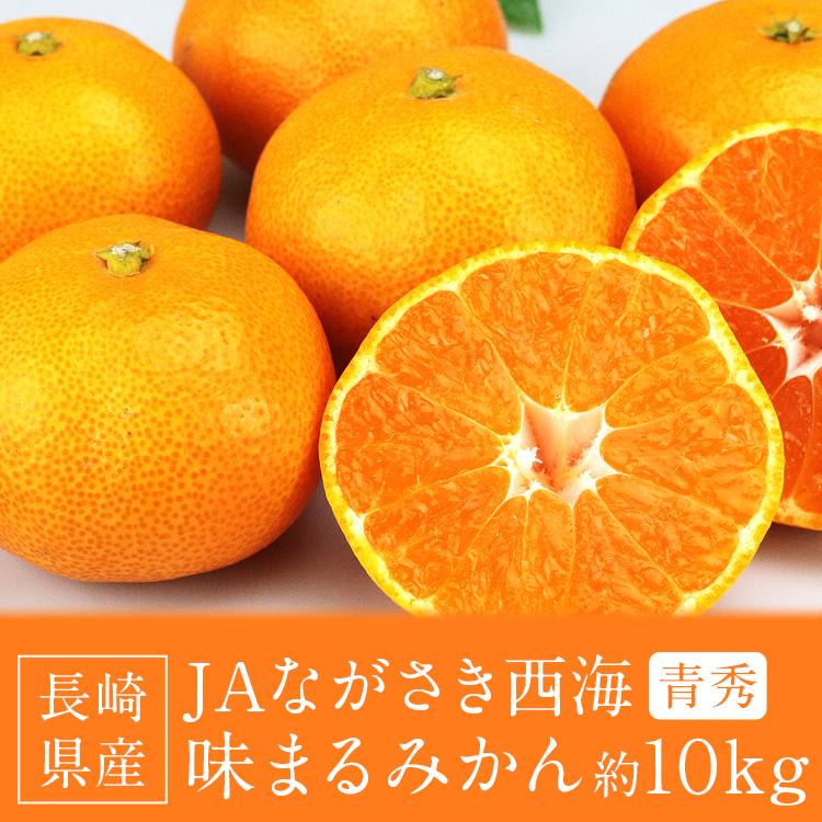 みかん 10kg 味まるみかん 糖度12度 長崎県産 青秀品 74〜126玉程度 味