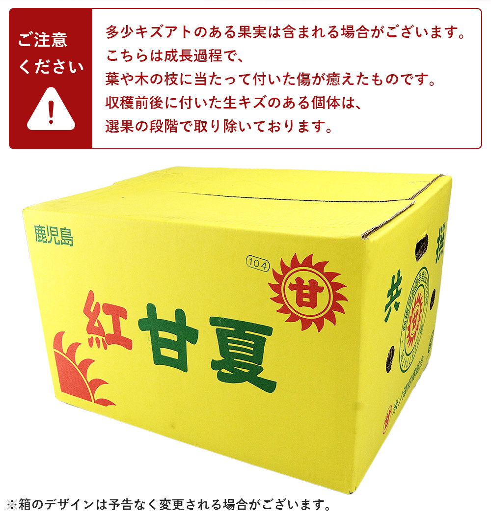 甘夏 AMBIDEX Store 〇カノコ編み コンパクトベスト(F ペールmix
