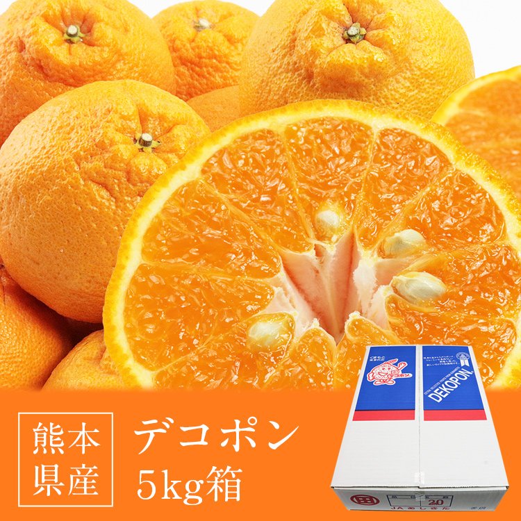 デコポン 熊本県産 18〜24玉 5kg箱満杯詰め 糖度13度選果設定 不知火