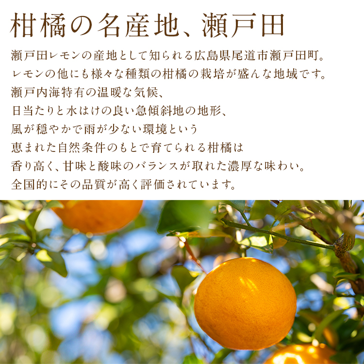 麗紅 れいこう 3kg 広島県産 瀬戸田 みかん 産直 同梱不可 指定日不可