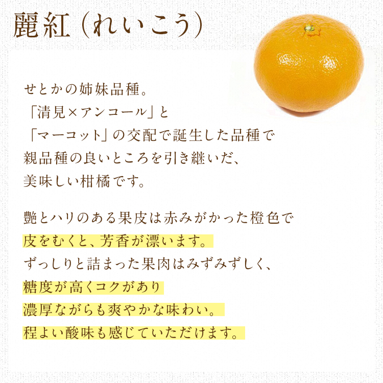 麗紅 れいこう 3kg 広島県産 瀬戸田 みかん 産直 同梱不可 指定日不可