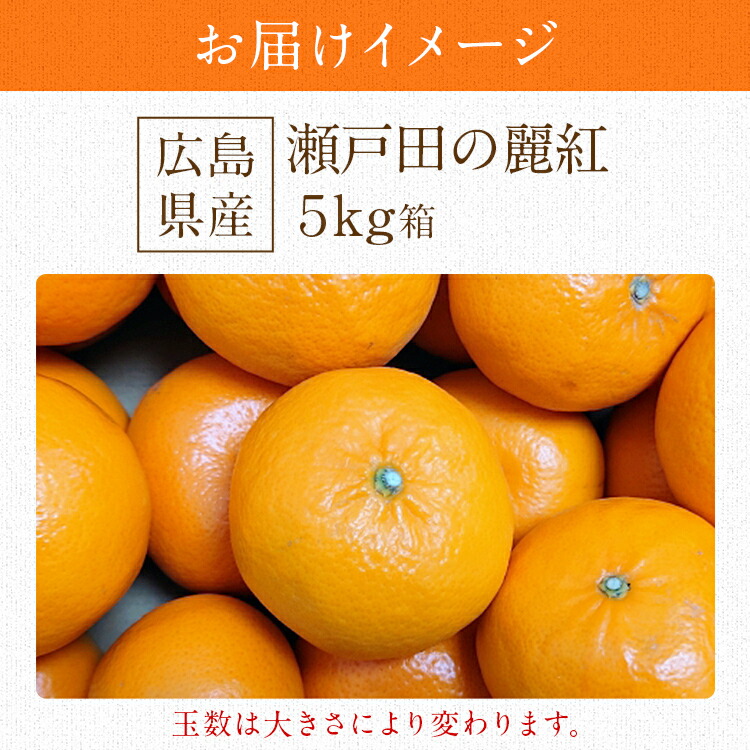 瀬戸田産　麗紅　20kg 麗紅 れいこう 5kg 広島県産 瀬戸田 みかん 産直 同梱不可 指定日不可