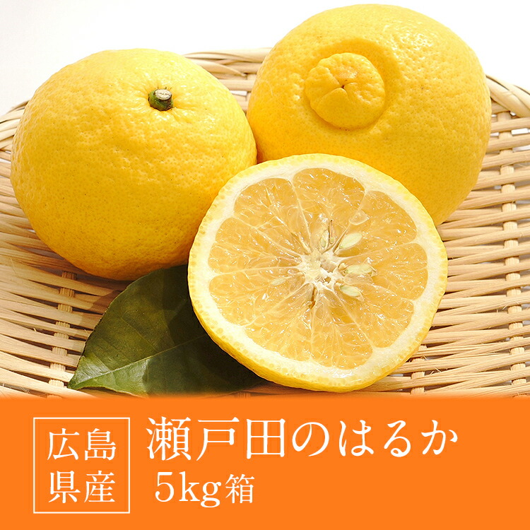 はるか 5kg 広島県産 瀬戸田 みかん 柑橘 産直 同梱不可 指定日不可
