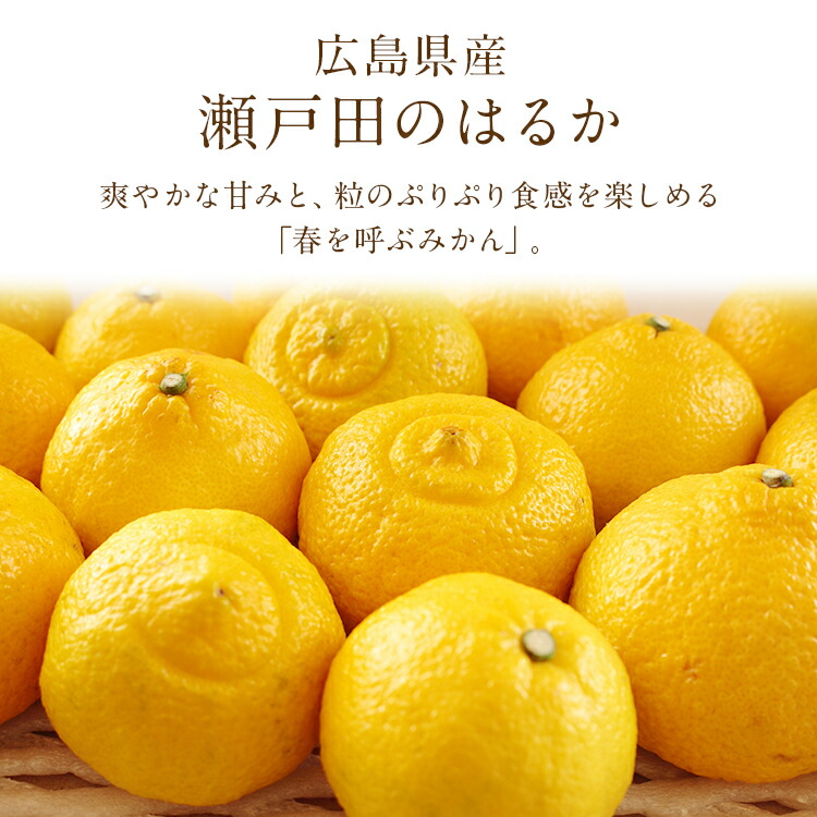 はるか 5kg 広島県産 瀬戸田 みかん 柑橘 産直 同梱不可 指定日不可
