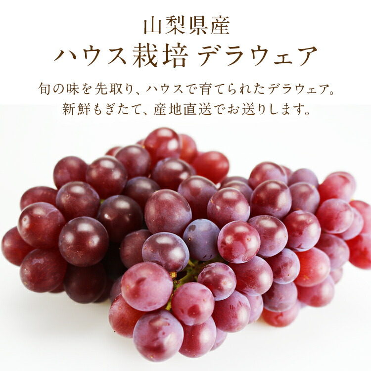 山梨の甘い種無しハウスデラウェア送料無料 山梨の甘い種無しハウスデラウェア送料無料 - メルカリ