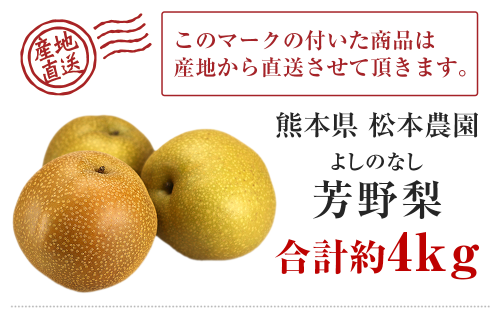 熱販売 訳あり 梨 10kg 長野県産 幸水 豊水 二十世紀 あきづき 新高 南水 6品種からお好きな梨を選べる ご自宅用 お徳用 ご家庭用 なし  訳あり梨 和梨 ナシ 産地直送 旬の果物 大容量 フルーツ お得 果汁たっぷり 傷あり 変形果 お取り寄せ 信州産 qdtek.vn