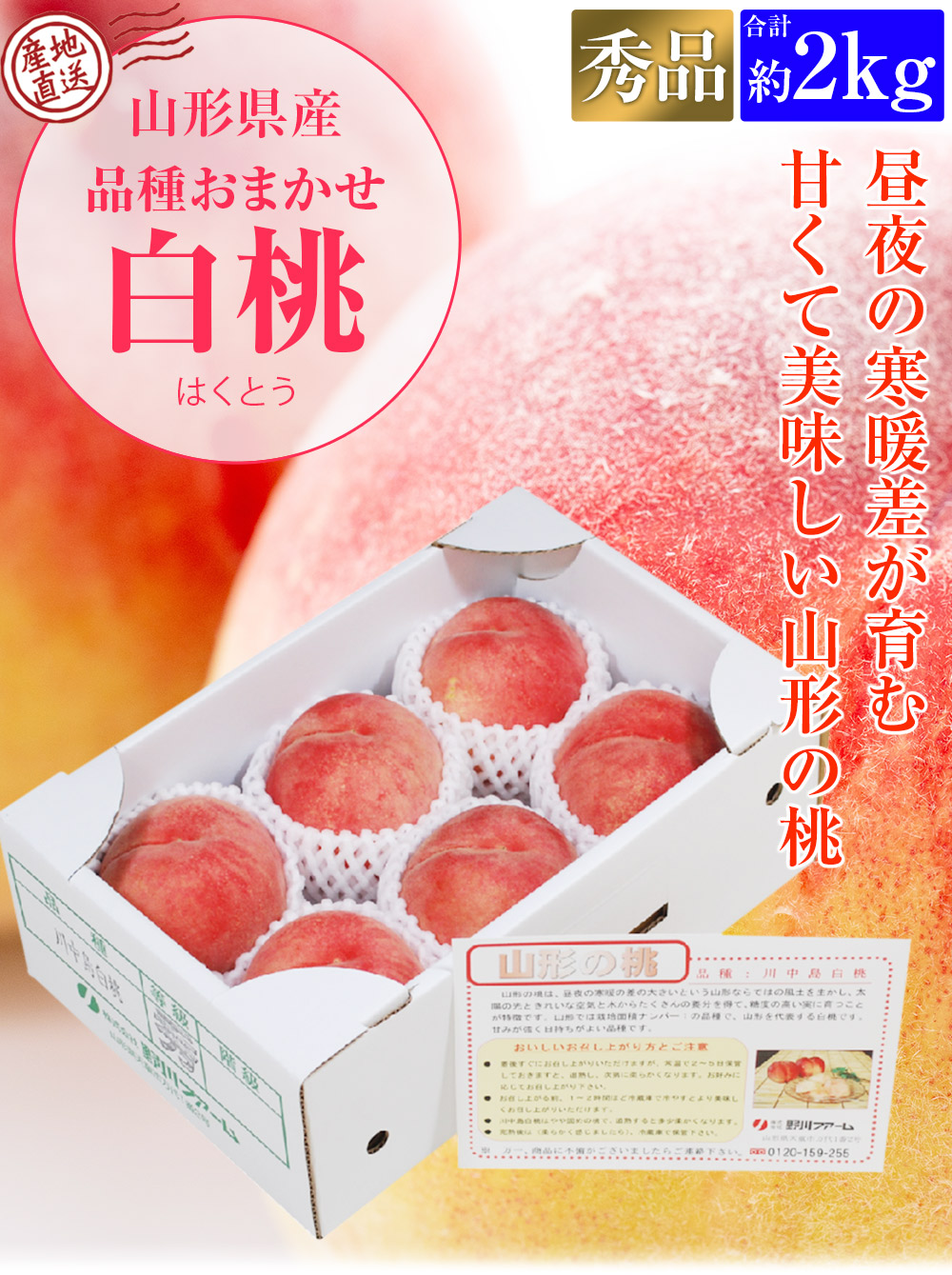 欲しいの 白桃 2kg 山形県産 秀品 品種おまかせ 5〜6玉程度 桃 モモ もも 産直 冷蔵便 同梱不可 指定日不可 