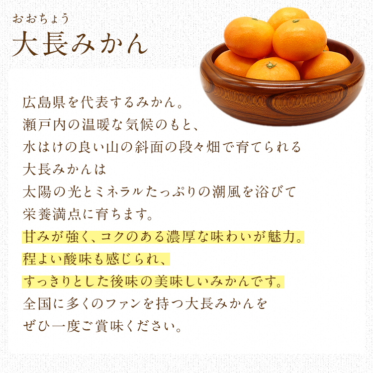 みかん 5kg 大長みかん 広島県産 Mサイズ お歳暮 ギフト 贈答 歳暮 ミカン 蜜柑 産直 常温便 同梱不可 指定日不可 : ocnw-028 :  食の達人 お取り寄せグルメ - 通販 - Yahoo!ショッピング
