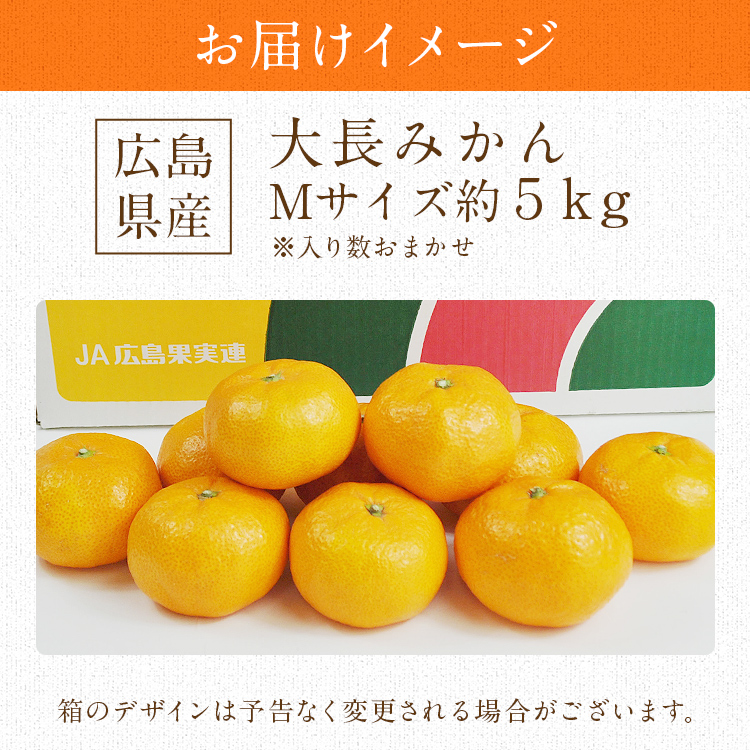 みかん 5kg 大長みかん 広島県産 Mサイズ お歳暮 ギフト 贈答 歳暮 ミカン 蜜柑 産直 常温便 同梱不可 指定日不可 : ocnw-028 :  食の達人 お取り寄せグルメ - 通販 - Yahoo!ショッピング