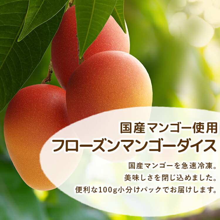 冷凍 マンゴー 1kg 国産 100g×10袋 ダイス カットフルーツ 冷凍