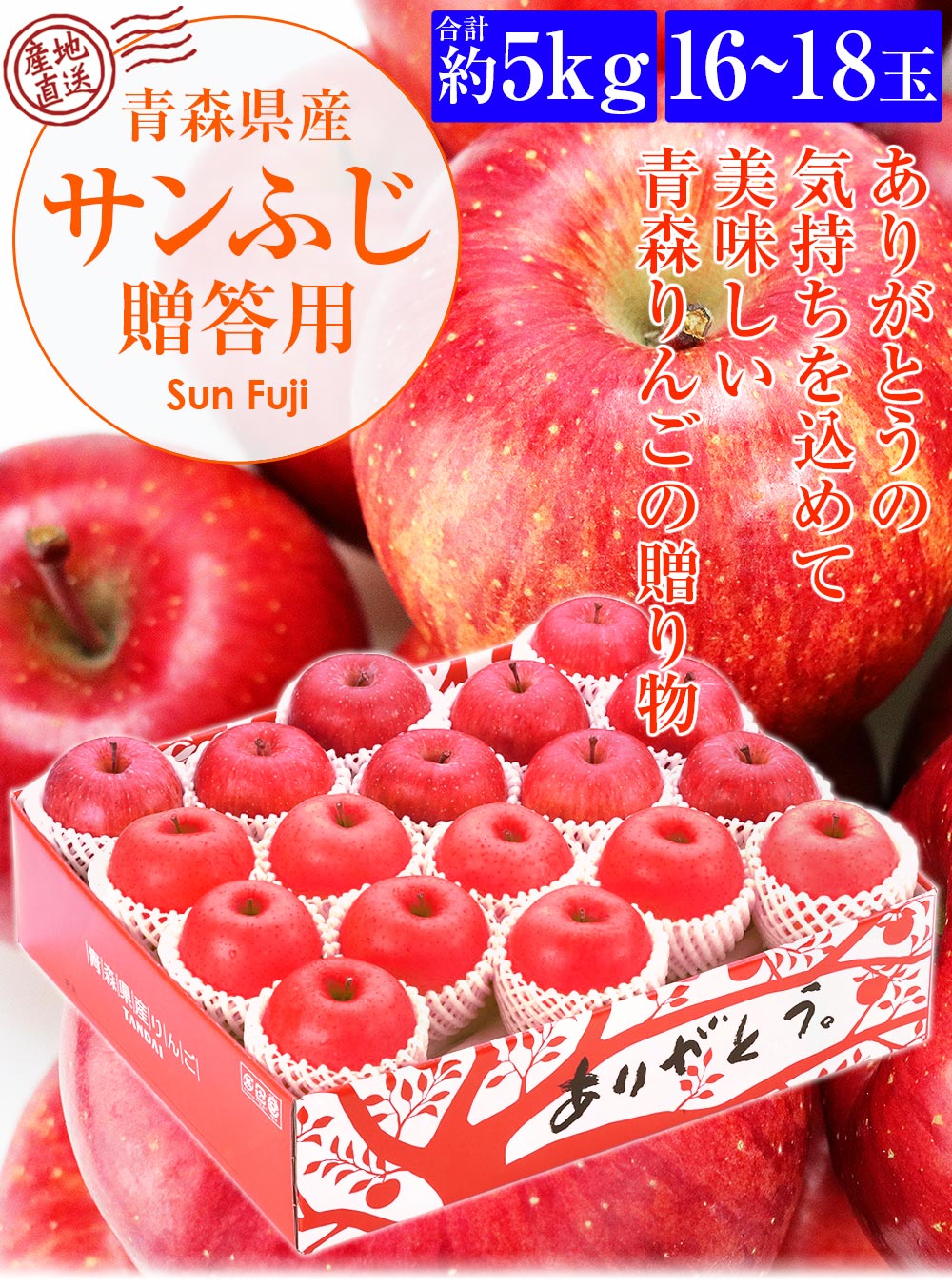 高い素材 青森県産りんご 344【サンふじ】贈答用5kg② 2024年2月