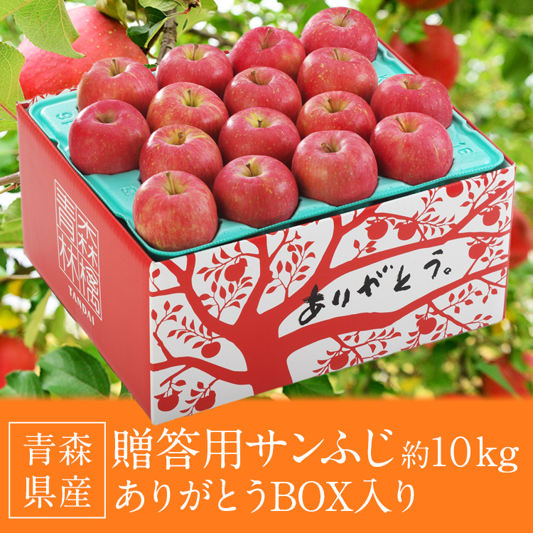 サンふじ 10kg 青森県産 贈答用 りんご 32〜36玉 林檎 リンゴ ふじ