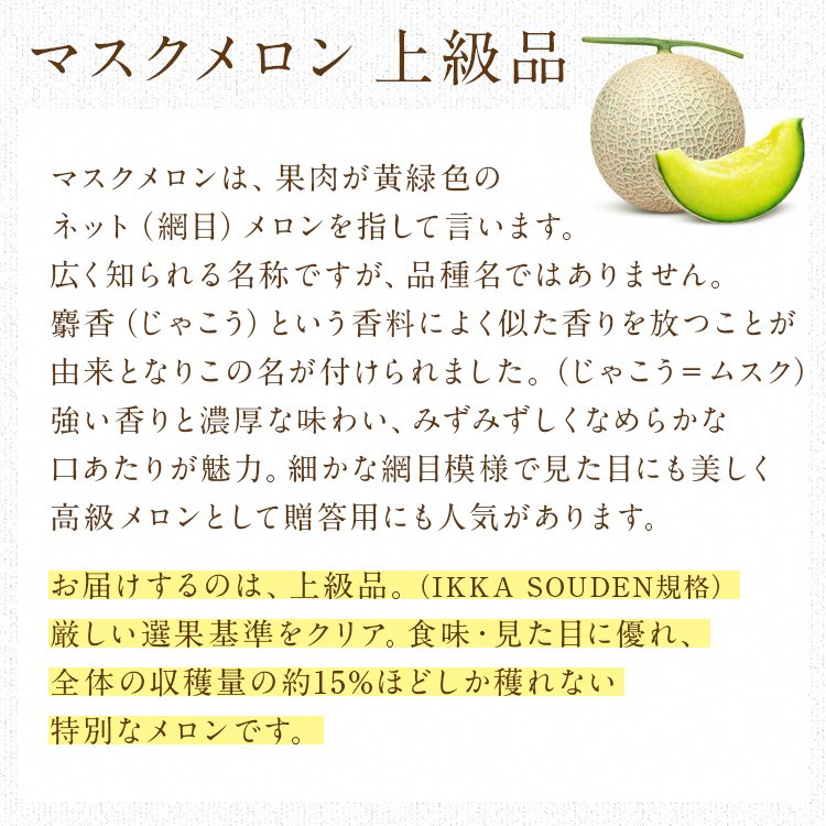 マスクメロン ギフト 高級 2玉 合計2.8kg (1.4kg×2玉) 上級品