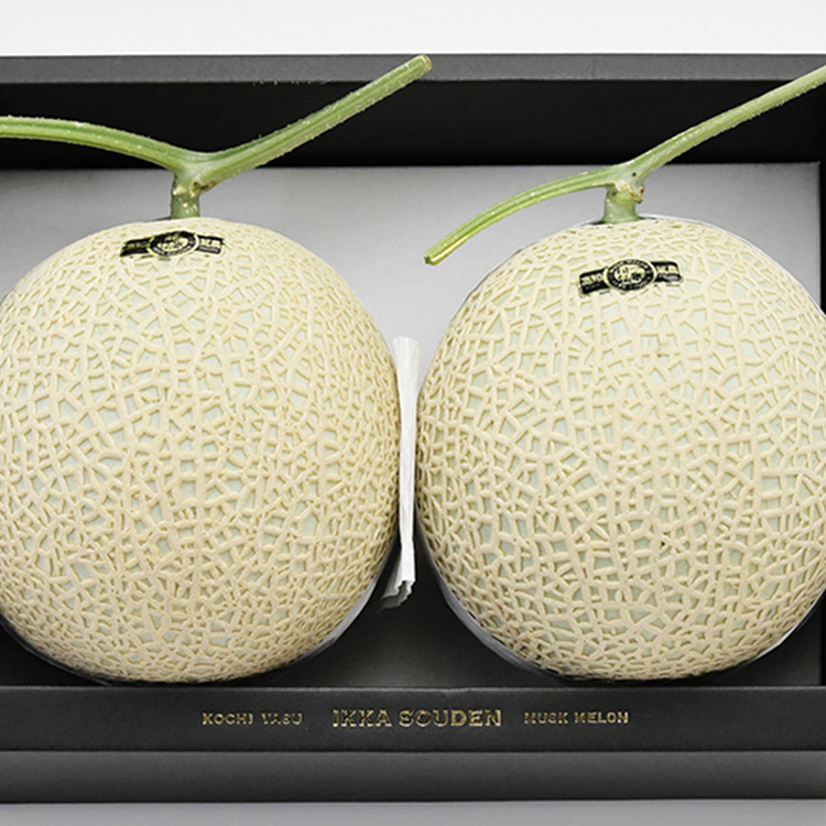 メロン 楽天市場】マスクメロン ギフト 高級 1玉 1.4kg 良品 産地直送