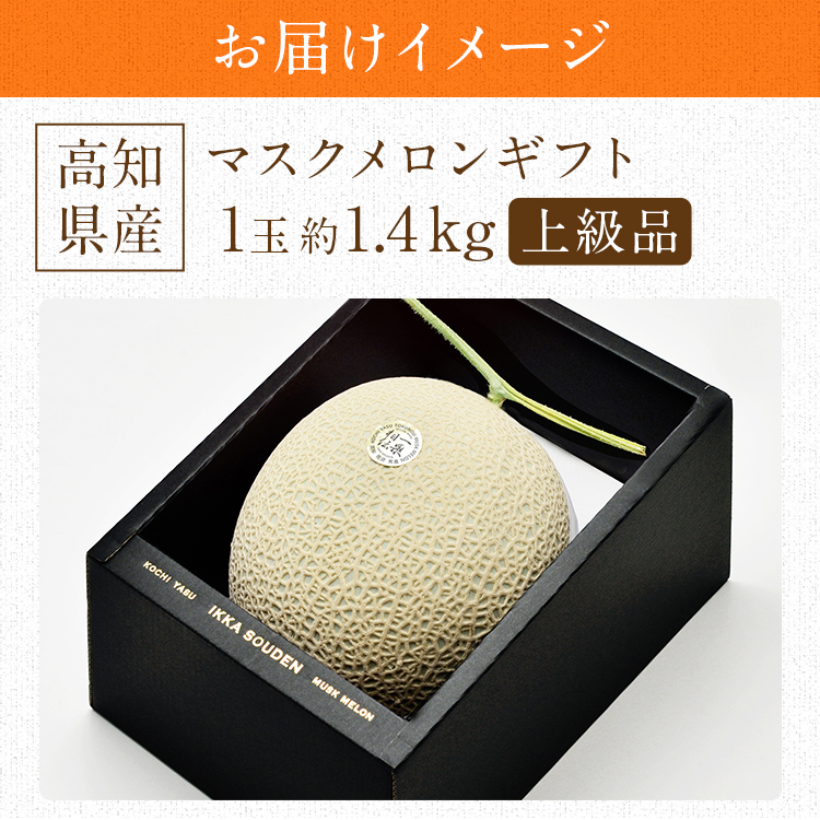 マスクメロン ギフト 高級 1玉 1.4kg 上級品 産地直送 高知県産 贈答用