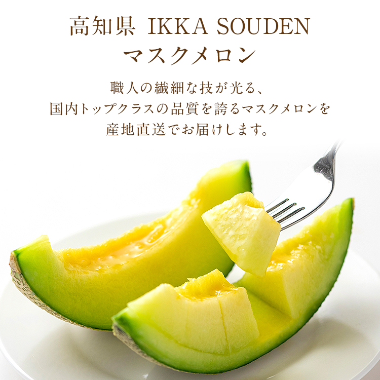 マスクメロン ギフト 高級 2玉 合計2.8kg (1.4kg×2玉) 良品 産地