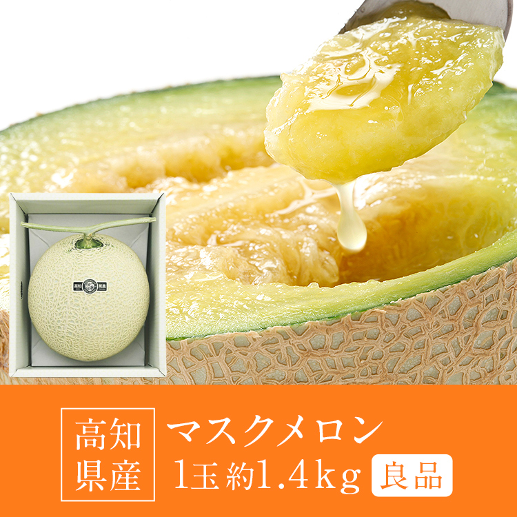 マスクメロン ギフト 高級 1玉 1.4kg 良品 産地直送 高知県産 贈答用