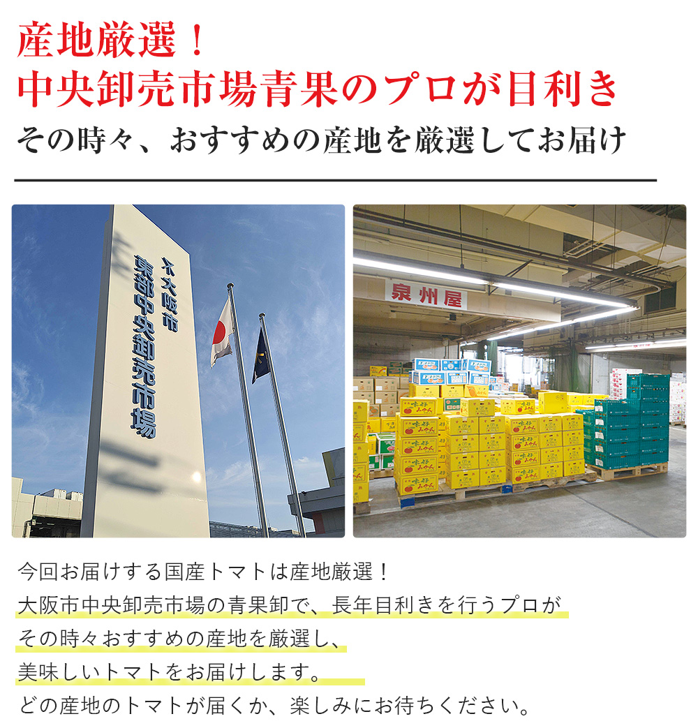 トマト 国産 4kg箱 16〜24玉 産地厳選 産地おまかせ 冷蔵便 同梱不可 指定日不可 :ysi-123:泉果通販ヤフー店 - 通販 -  Yahoo!ショッピング