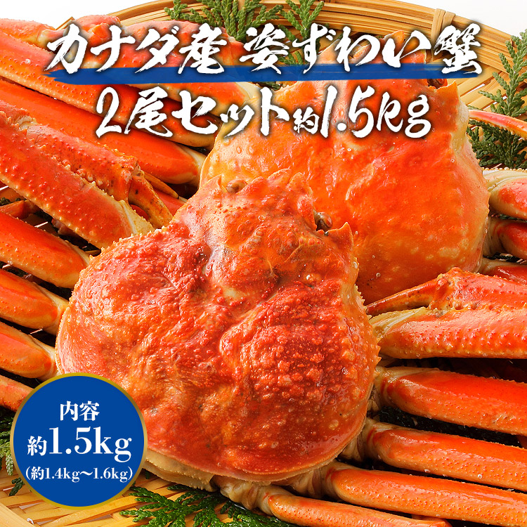 かに 姿ずわいがに ボイル済み 2尾セット 約1.5kg(1.4kg～1.6kg) 高級